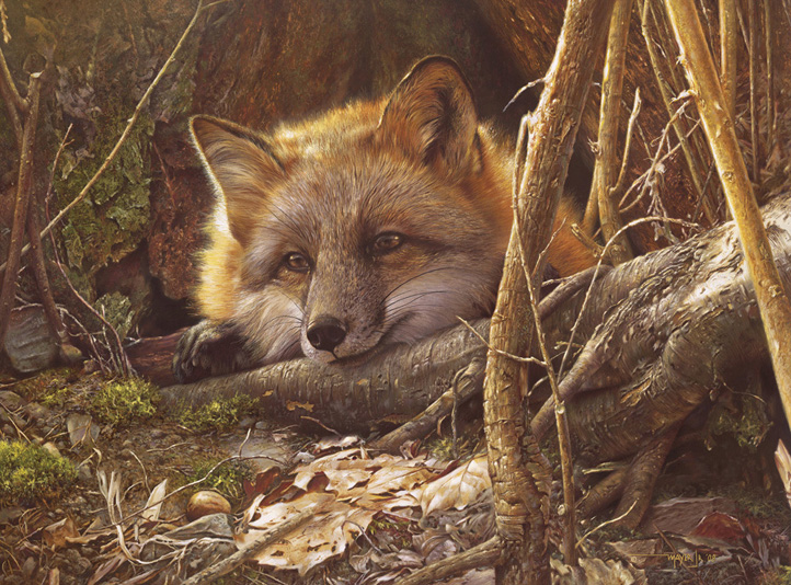 Denis Mayer Jr Hand Signed and Numbered Limited Edition Canvas Giclee:"A Touch of Warmth"