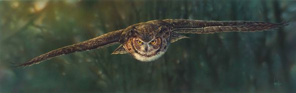 Denis Mayer Jr Hand Signed and Numbered Limited Edition Canvas Giclee:"Aerial Intensity"