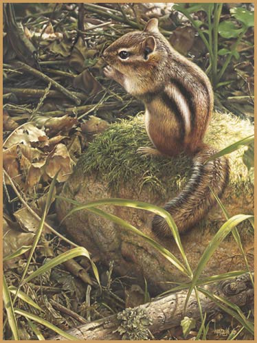 Denis Mayer Jr Hand Signed and Numbered Limited Edition Canvas Giclee:"Backyard Companion"
