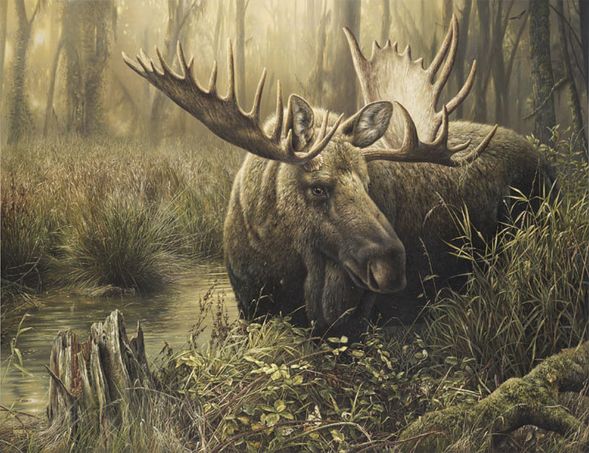 Denis Mayer Jr Hand Signed and Numbered Limited Edition Canvas Giclee:"Dominating Presence"
