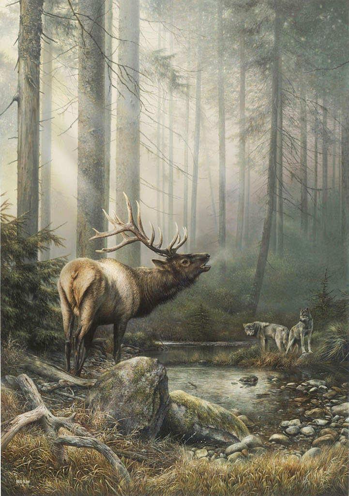 Denis Mayer Jr Hand Signed and Numbered Limited Edition Canvas Giclee:"Echo In The Mist"