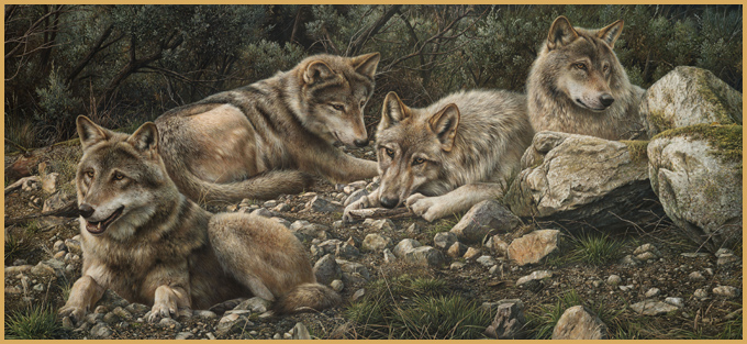 Denis Mayer Jr Hand Signed and Numbered Limited Edition Canvas Giclee:"Forever Wild"