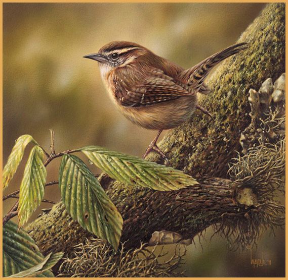 Denis Mayer Jr Hand Signed and Numbered Limited Edition Canvas Giclee:"Garden Melodies"