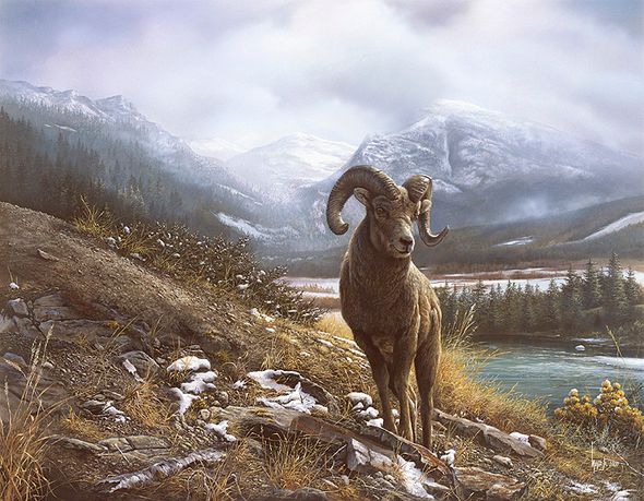Denis Mayer Jr Hand Signed and Numbered Limited Edition Canvas Giclee:"Heights Ahead"