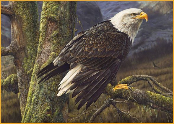Denis Mayer Jr Hand Signed and Numbered Limited Edition Canvas Giclee:"Ruler Of The Skies"
