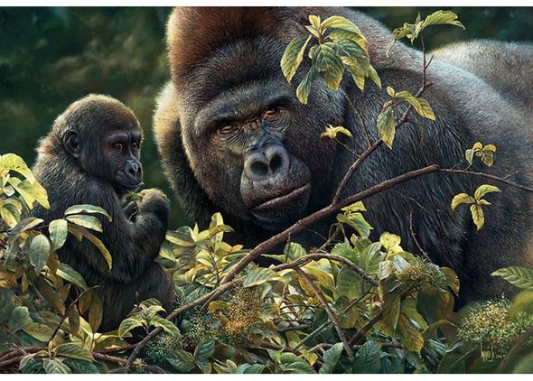 Denis Mayer Jr Hand Signed and Numbered Limited Edition Canvas Giclee:"Father’s Foresight"