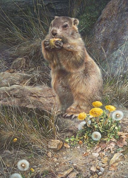 Denis Mayer Jr Hand Signed and Numbered Limited Edition Canvas Giclee:"Sweet Find"