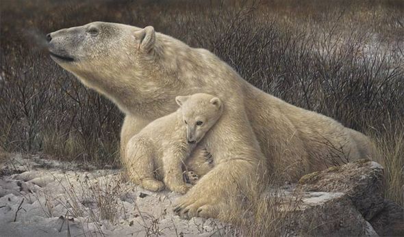 Denis Mayer Jr Hand Signed and Numbered Limited Edition Canvas Giclee:"Time to Protect"