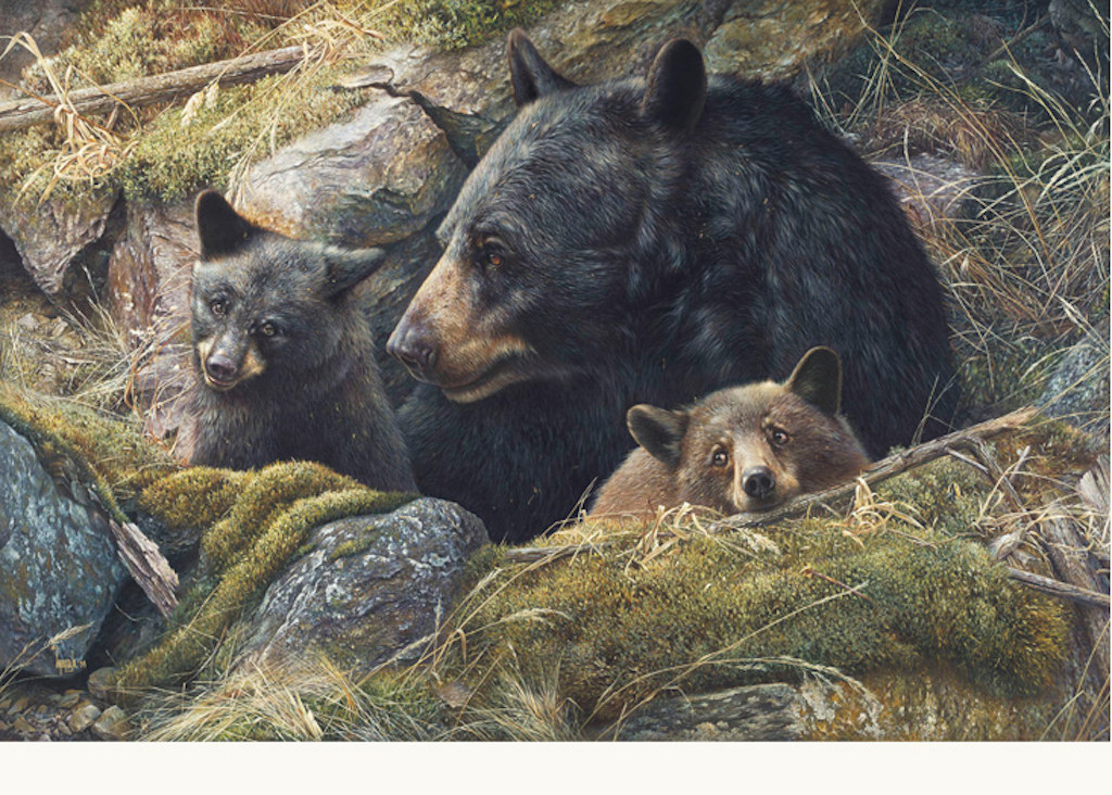 Denis Mayer Jr Hand Signed and Numbered Limited Edition Canvas Giclee:"Twice The Love"