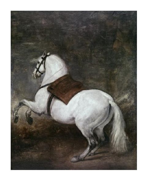 Diego Velazquez Fine Art Open Edition Gicl&eacute;e:"A White Horse"