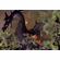 Disney Limited Edition Gallery Wrap Canvas Giclee:"Dark Dragon " by Arienne Boley 
