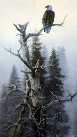 Don Kloetzke Print-Signed and Numbered:"Dawns Early Light"