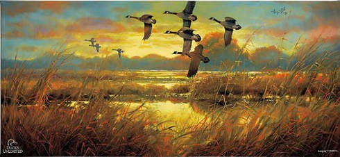 Greg Messier Ducks Unlimited 24x36 Gallery Wrapped Canvas Art: "Perfect Ending Canada Geese"