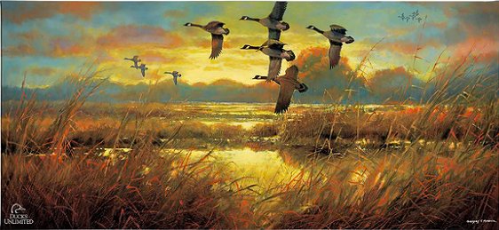 Greg Messier Ducks Unlimited 24x36 Gallery Wrapped Canvas Art: "Perfect Ending Canada Geese"