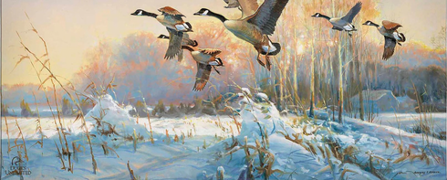 Greg Messier Greg Messier Ducks Unlimited 24x36 Gallery Wrapped Canvas Art:"Late Departure"