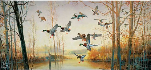 Greg Messier Ducks Unlimited 24x36 Gallery Wrapped Canvas Art:"Graceful Decent"