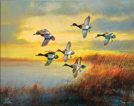 Greg Messier Ducks Unlimited 24x36 Gallery Wrapped Canvas Art:"Autumn Sunrise"