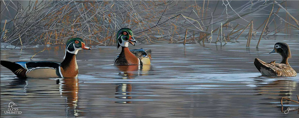 Scot Storm Ducks Unlimited 24x36 Gallery Wrapped Canvas Art:"Springtime Chatter"