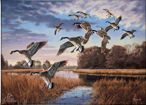 David Maass Ducks Unlimited 24x36 Gallery Wrapped Canvas Art:"Daybreak Descent - Canada Geese Gallery "