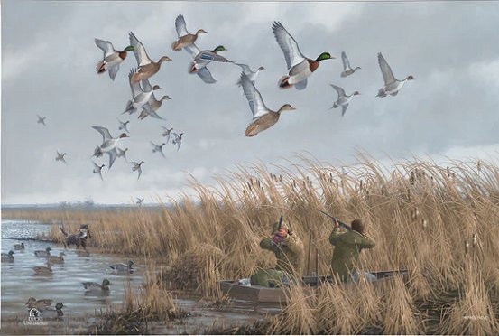 Michael Sieve Ducks Unlimited 24x36 Gallery Wrapped Canvas Art:"Mallards & Pintails" 