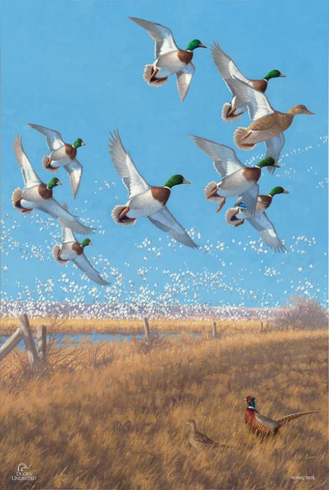 MIchael Sieve Ducks Unlimited 24x36 Gallery Wrapped Canvas Art:"Courtship Flight - Mallard" MIchael Sieve Ducks Unlimited 24x36 Gallery Wrapped Canvas Art:"Courtship Flight - Mallard"