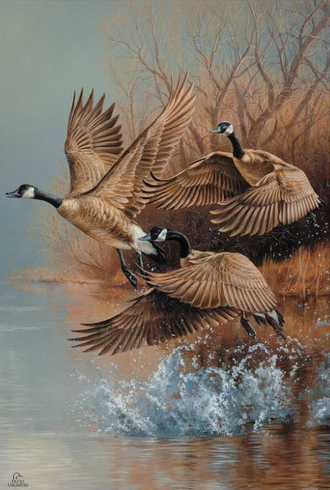 Rosemary Millette Ducks Unlimited 24x36 Gallery Wrapped Canvas Art:"Taking Flight Canada Geese" 