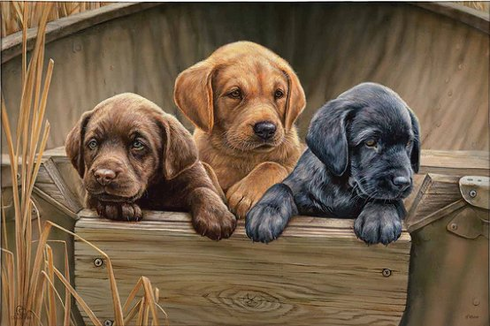 Rosemary Millette Ducks Unlimited 24x36 Gallery Wrapped Canvas Art:"All Hands on Deck"