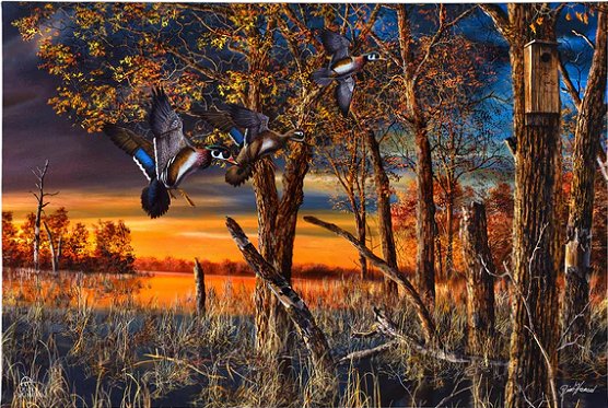 Jim Hansel Ducks Unlimited 24x36 Gallery Wrapped Canvas Art: "Return to the Refuge"