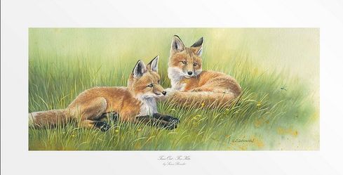Susan Bourdet Artist Signed Limited Edition:"Time Out - Fox Kits"