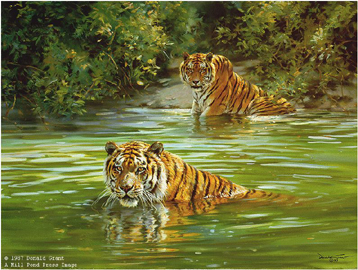 DONALD GRANT 19X25 Secondary Market Art: "COOL CATS TIGERS"