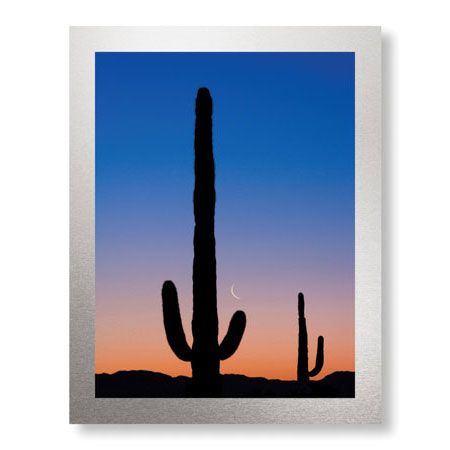 Donald Paulson Limited Edition Ready to Hang Giclee on Brushed Aluminum: "Arizona Moon & Cactus"