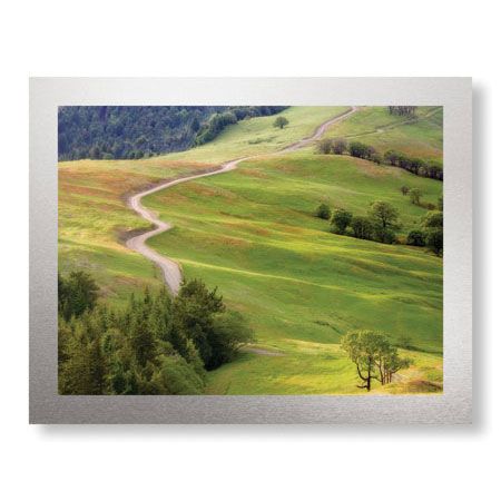 Donald Paulson Limited Edition Ready to Hang Giclee on Brushed Aluminum: "Bald Hills Redwoods National Park"