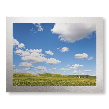 Donald Paulson Limited Edition Ready to Hang Giclee on Brushed Aluminum: "Canola Farm"
