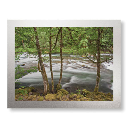 Donald Paulson Limited Edition Ready to Hang Giclee on Brushed Aluminum: "Clackamas River I"