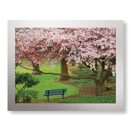 Donald Paulson Limited Edition Ready to Hang Giclee on Brushed Aluminum: "Evergreen Park"