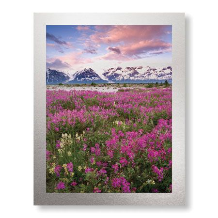 Donald Paulson Limited Edition Ready to Hang Giclee on Brushed Aluminum: "Fairweather Range I"