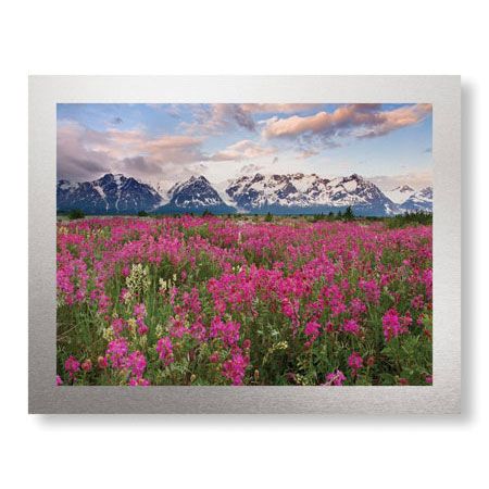 Donald Paulson Limited Edition Ready to Hang Giclee on Brushed Aluminum: "Fairweather Range III"