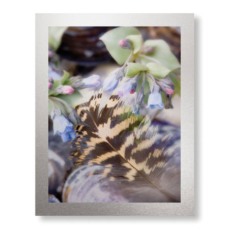 Donald Paulson Limited Edition Ready to Hang Giclee on Brushed Aluminum: "Feather and Flowers"