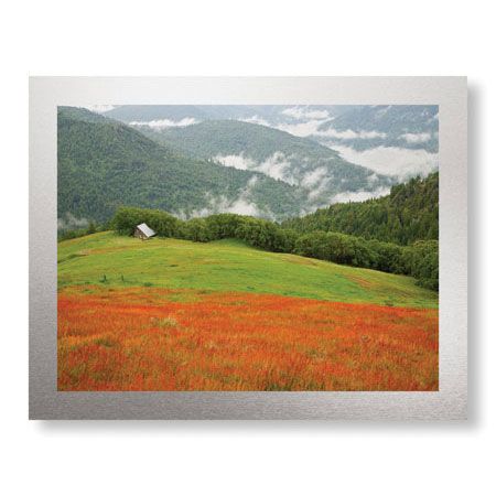 Donald Paulson Limited Edition Ready to Hang Giclee on Brushed Aluminum: "Historic Barn at Redwoods Forest"