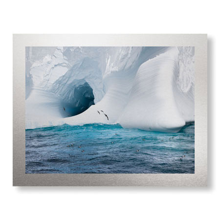 Donald Paulson Limited Edition Ready to Hang Giclee on Brushed Aluminum: "Iceberg and Seabirds"