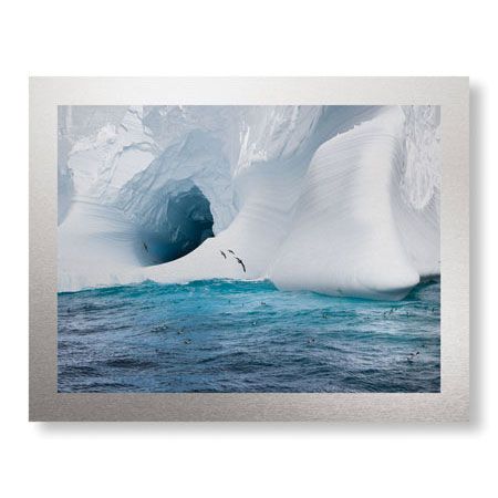 Donald Paulson Limited Edition Ready to Hang Giclee on Brushed Aluminum: "Iceberg and Seabirds"