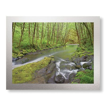 Donald Paulson Limited Edition Ready to Hang Giclee on Brushed Aluminum: "Nestucca River I"