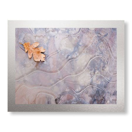 Donald Paulson Limited Edition Ready to Hang Giclee on Brushed Aluminum: "Oak Creek Canyon"