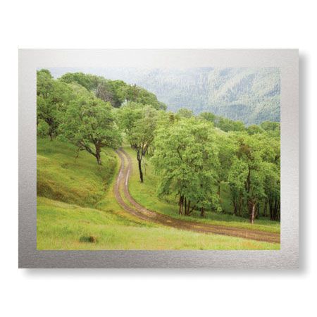 Donald Paulson Limited Edition Ready to Hang Giclee on Brushed Aluminum: "Oak Trees and Road"