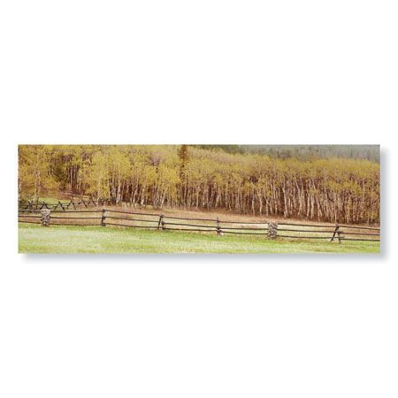 Donald Paulson Limited Edition Ready to Hang Giclee on Brushed Aluminum: "Pine Butte Conservancy Panorama"