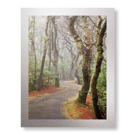 Donald Paulson Limited Edition Ready to Hang Giclee on Brushed Aluminum: "Washburne State Park II"