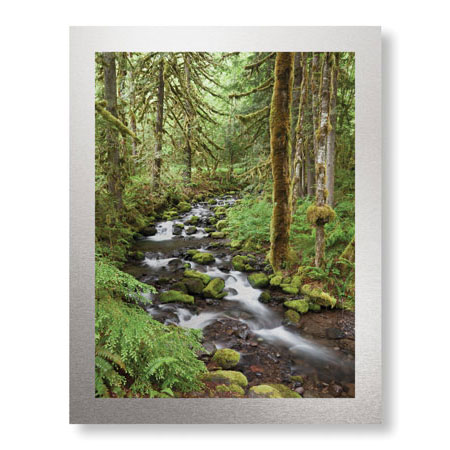 Donald Paulson Limited Edition Ready to Hang Giclee on Brushed Aluminum: "Wine Creek I"