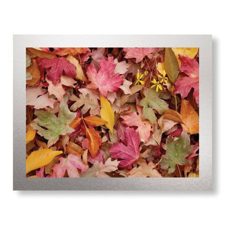 Donald Paulson Limited Edition Ready to Hang Giclee on Brushed Aluminum: "Zion National Park III"