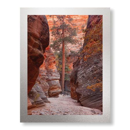 Donald Paulson Limited Edition Ready to Hang Giclee on Brushed Aluminum: "Zion Park Canyon"