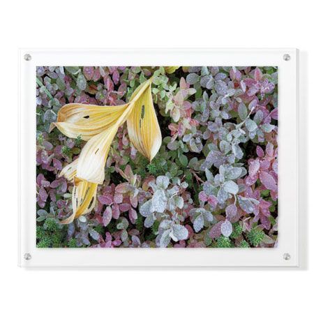 Donald Paulson Limited Edition Ready to Hang Giclee on Clear Acrylic: "Alpine Frost"